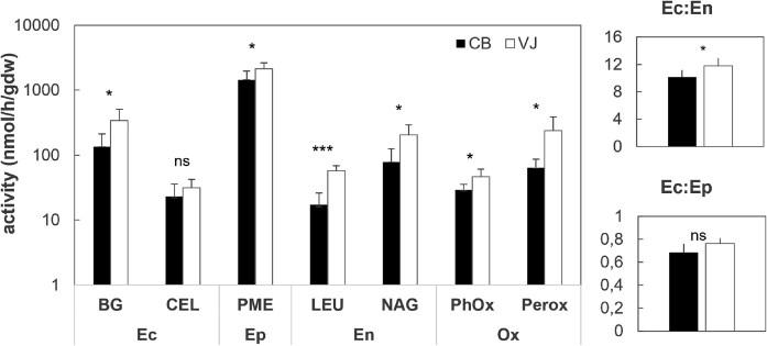 https://cdn.ncbi.nlm.nih.gov/pmc/blobs/e36f/12198764/45c60f6ccc16/fiaf056fig5.jpg