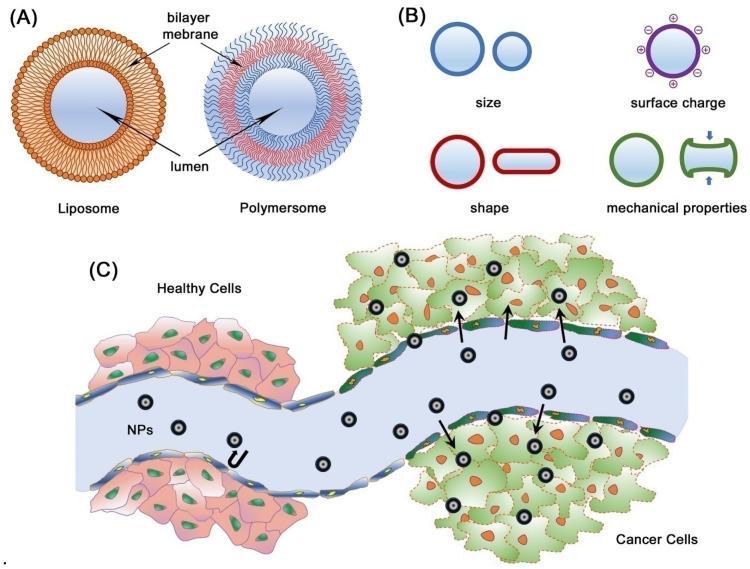 https://cdn.ncbi.nlm.nih.gov/pmc/blobs/e371/10536921/ebbfdc3d1d09/micromachines-14-01786-g016.jpg
