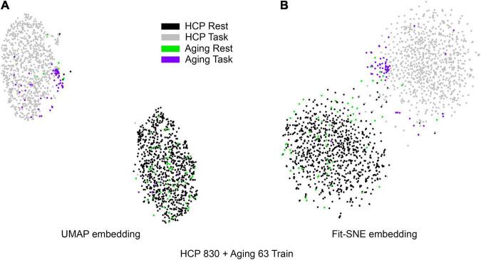 https://cdn.ncbi.nlm.nih.gov/pmc/blobs/e374/8739961/eadc943ee565/fninf-15-740143-g004.jpg