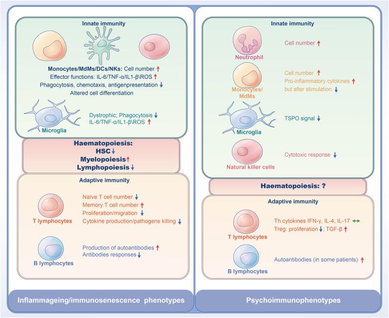 https://cdn.ncbi.nlm.nih.gov/pmc/blobs/e376/11420084/2edfece08ae5/41380_2024_2539_Fig2_HTML.jpg