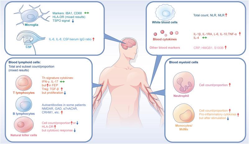 https://cdn.ncbi.nlm.nih.gov/pmc/blobs/e376/11420084/34fcbc27ffbd/41380_2024_2539_Fig1_HTML.jpg