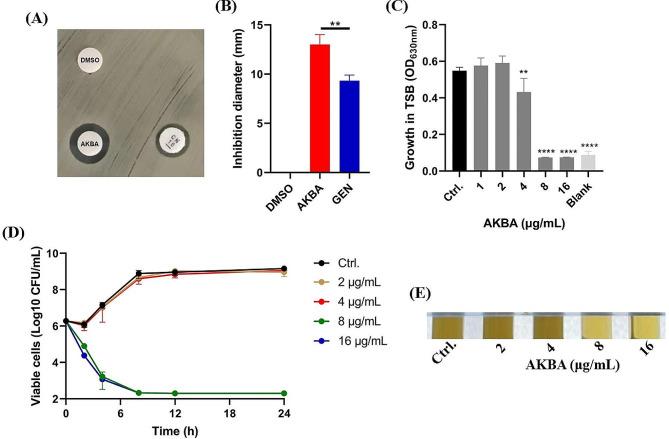 https://cdn.ncbi.nlm.nih.gov/pmc/blobs/e377/10771487/b37e3e0407f3/13568_2024_1660_Fig1_HTML.jpg