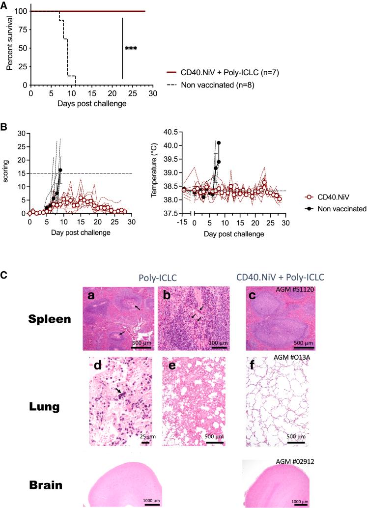 https://cdn.ncbi.nlm.nih.gov/pmc/blobs/e377/10983108/24ba81b87d78/gr4.jpg