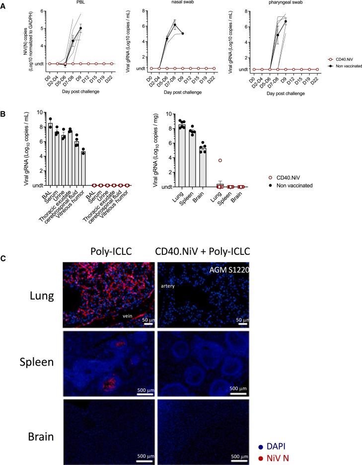 https://cdn.ncbi.nlm.nih.gov/pmc/blobs/e377/10983108/a43bb87251cf/gr5.jpg