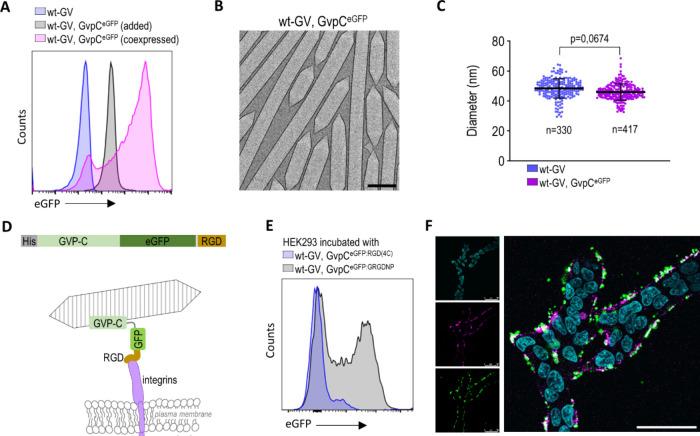 https://cdn.ncbi.nlm.nih.gov/pmc/blobs/e378/11223475/9146cdf403c7/nn4c01498_0004.jpg