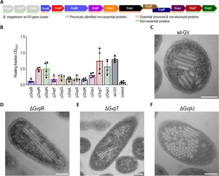 https://cdn.ncbi.nlm.nih.gov/pmc/blobs/e378/11223475/eee813f30984/nn4c01498_0001.jpg