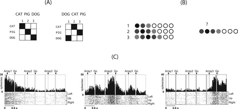 https://cdn.ncbi.nlm.nih.gov/pmc/blobs/e379/5518770/17084ac94b71/gr1.jpg