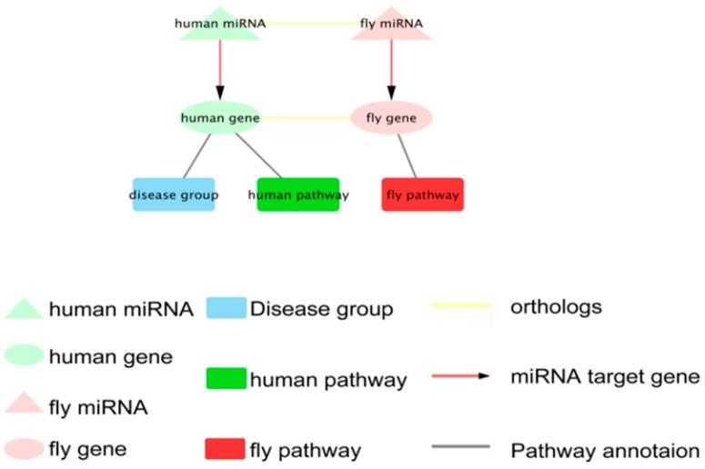 https://cdn.ncbi.nlm.nih.gov/pmc/blobs/e37a/6163619/b661cf5aef33/ijms-19-02642-g003.jpg
