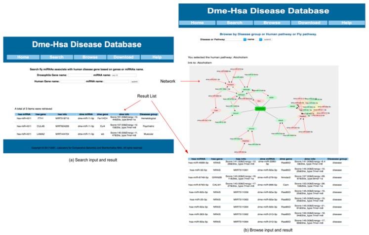 https://cdn.ncbi.nlm.nih.gov/pmc/blobs/e37a/6163619/eb90a3df3004/ijms-19-02642-g004.jpg