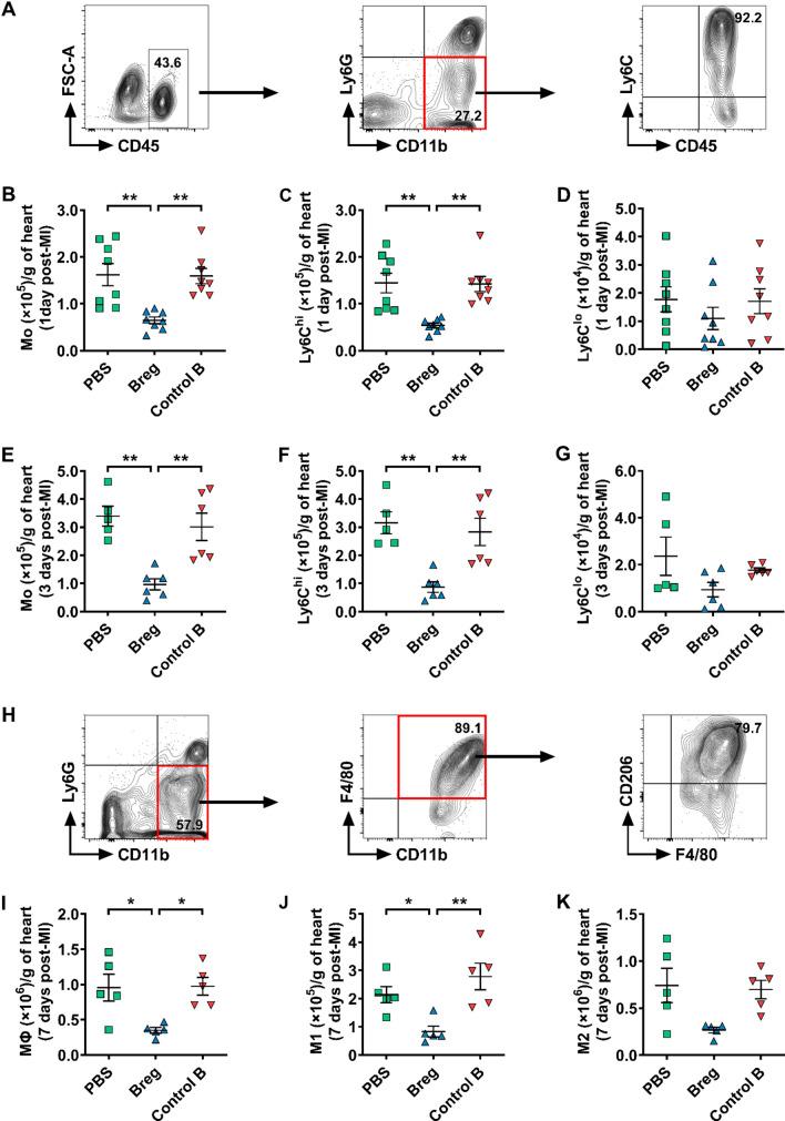 https://cdn.ncbi.nlm.nih.gov/pmc/blobs/e37a/8310480/d988a359c331/395_2021_886_Fig4_HTML.jpg