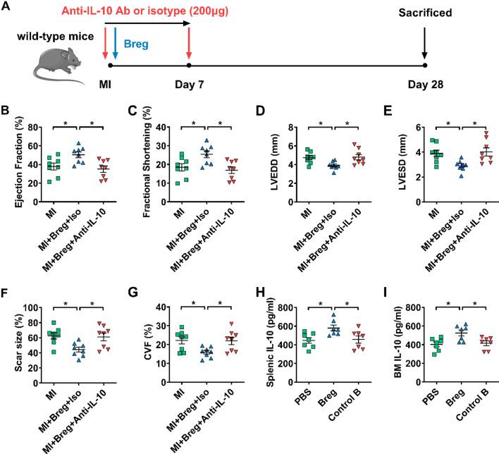 https://cdn.ncbi.nlm.nih.gov/pmc/blobs/e37a/8310480/f043a6694087/395_2021_886_Fig7_HTML.jpg
