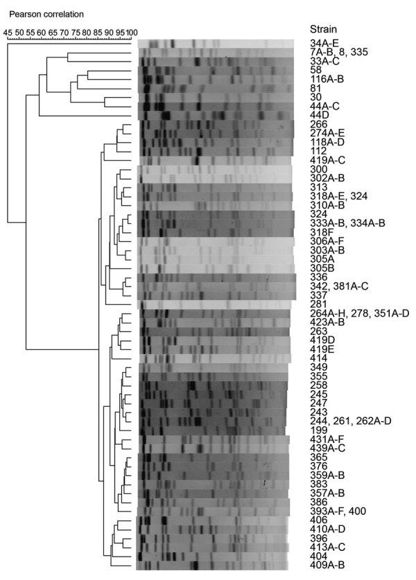 https://cdn.ncbi.nlm.nih.gov/pmc/blobs/e37b/7258444/a6d474be4f51/19-1436-F.jpg