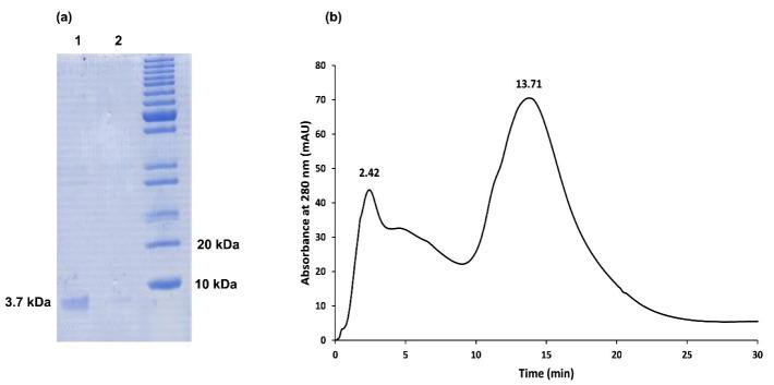 https://cdn.ncbi.nlm.nih.gov/pmc/blobs/e37c/10460804/06a776def9ec/apb-13-592-g004.jpg