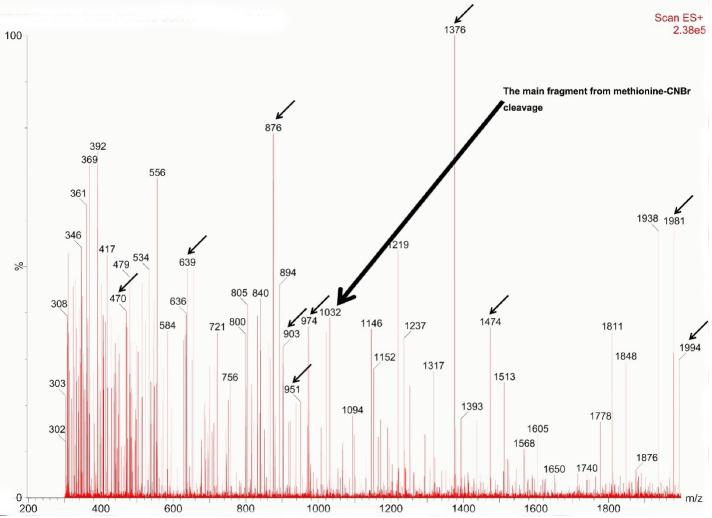 https://cdn.ncbi.nlm.nih.gov/pmc/blobs/e37c/10460804/c5df4e925696/apb-13-592-g006.jpg