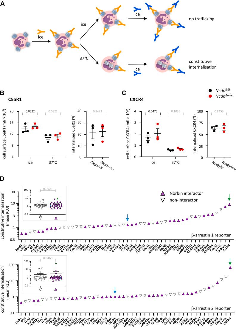 https://cdn.ncbi.nlm.nih.gov/pmc/blobs/e37c/11647504/a05ca62aecb9/gr2.jpg