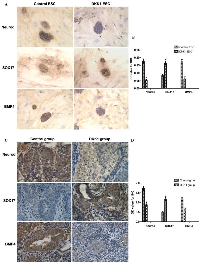 https://cdn.ncbi.nlm.nih.gov/pmc/blobs/e382/4686056/6a05909edf43/MMR-13-01-0720-g04.jpg