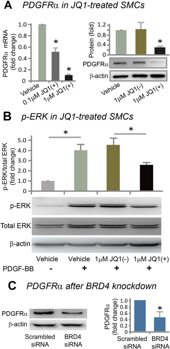 https://cdn.ncbi.nlm.nih.gov/pmc/blobs/e384/4740308/bc79e36d0810/gr6.jpg