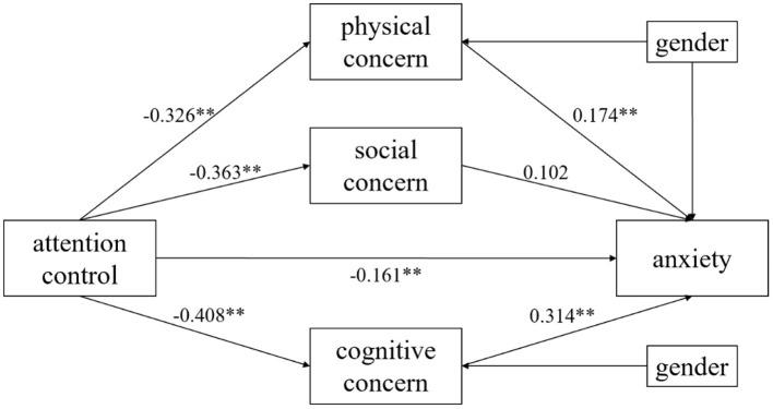 https://cdn.ncbi.nlm.nih.gov/pmc/blobs/e387/8385276/7871ef362ef6/fpsyt-12-713279-g0003.jpg