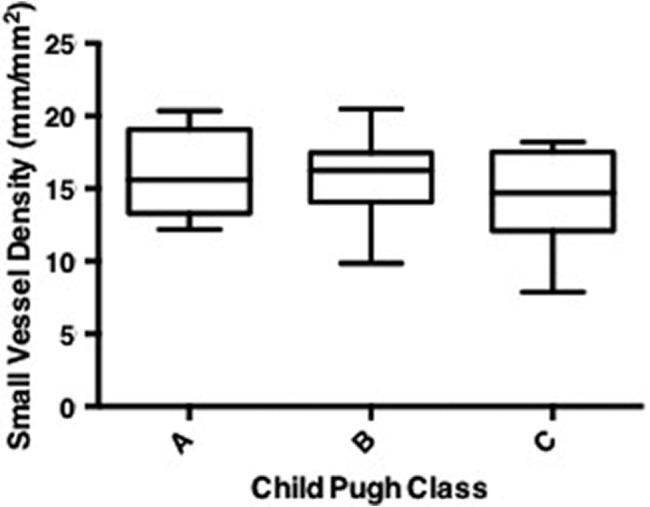 https://cdn.ncbi.nlm.nih.gov/pmc/blobs/e389/6891028/d9ddb492b743/JGH3-3-518-g003.jpg