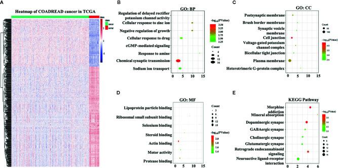 https://cdn.ncbi.nlm.nih.gov/pmc/blobs/e389/7935549/92b853c80c04/fonc-10-591739-g002.jpg