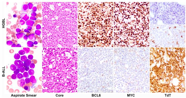 https://cdn.ncbi.nlm.nih.gov/pmc/blobs/e38b/9973484/5d436088dcc2/108895.fig1.jpg
