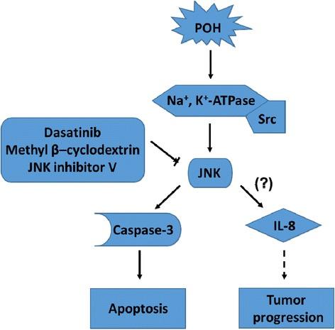 https://cdn.ncbi.nlm.nih.gov/pmc/blobs/e38d/4432499/3d93fe56c304/12943_2015_374_Fig10_HTML.jpg