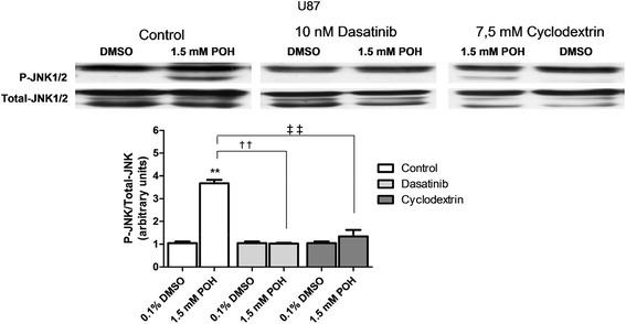 https://cdn.ncbi.nlm.nih.gov/pmc/blobs/e38d/4432499/c5036672b159/12943_2015_374_Fig4_HTML.jpg