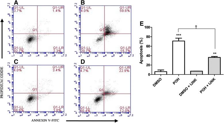 https://cdn.ncbi.nlm.nih.gov/pmc/blobs/e38d/4432499/e00f539ec799/12943_2015_374_Fig6_HTML.jpg