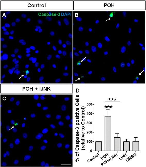 https://cdn.ncbi.nlm.nih.gov/pmc/blobs/e38d/4432499/e5ee22463d9d/12943_2015_374_Fig8_HTML.jpg