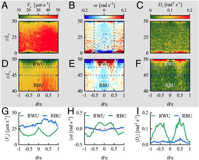 https://cdn.ncbi.nlm.nih.gov/pmc/blobs/e38d/9586295/c182310060ef/pnas.2206738119fig06.jpg