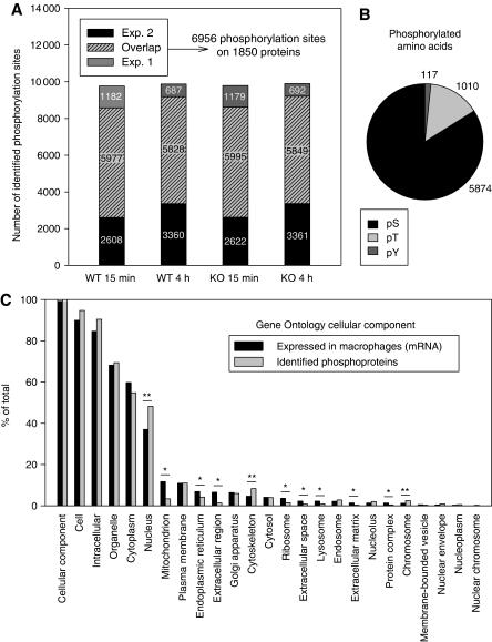 https://cdn.ncbi.nlm.nih.gov/pmc/blobs/e38e/2913394/5018970b0346/msb201029-f2.jpg