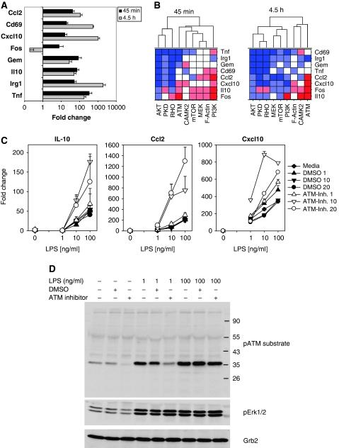 https://cdn.ncbi.nlm.nih.gov/pmc/blobs/e38e/2913394/8ce46a697611/msb201029-f5.jpg