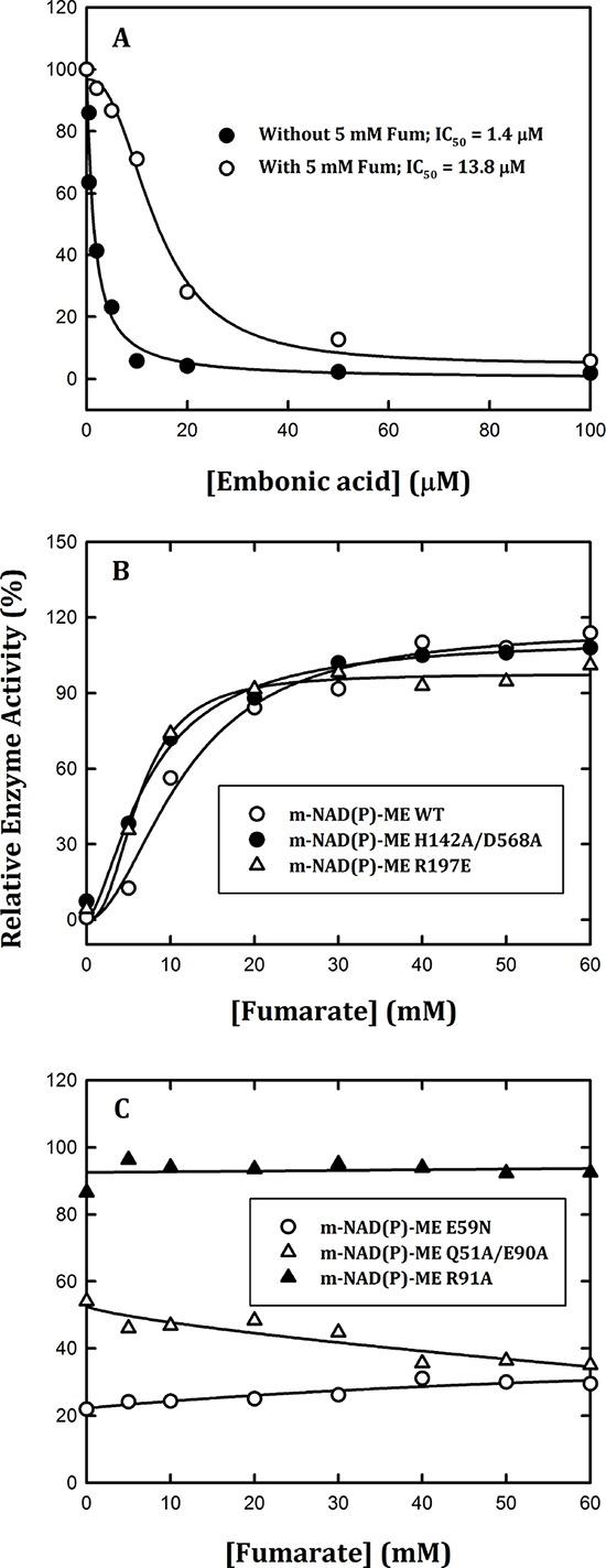 https://cdn.ncbi.nlm.nih.gov/pmc/blobs/e38e/4652989/0edbdcee9a54/oncotarget-06-20084-g003.jpg