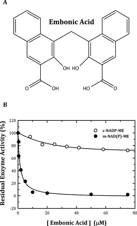 https://cdn.ncbi.nlm.nih.gov/pmc/blobs/e38e/4652989/61c0eec5b65e/oncotarget-06-20084-g001.jpg