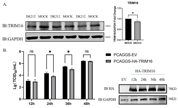 https://cdn.ncbi.nlm.nih.gov/pmc/blobs/e390/9960857/55fcf47dfaa1/viruses-15-00391-g003.jpg