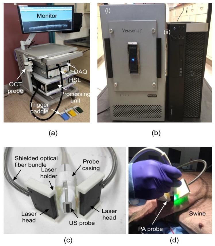 https://cdn.ncbi.nlm.nih.gov/pmc/blobs/e393/6630987/07f95def6539/sensors-19-02815-g002.jpg
