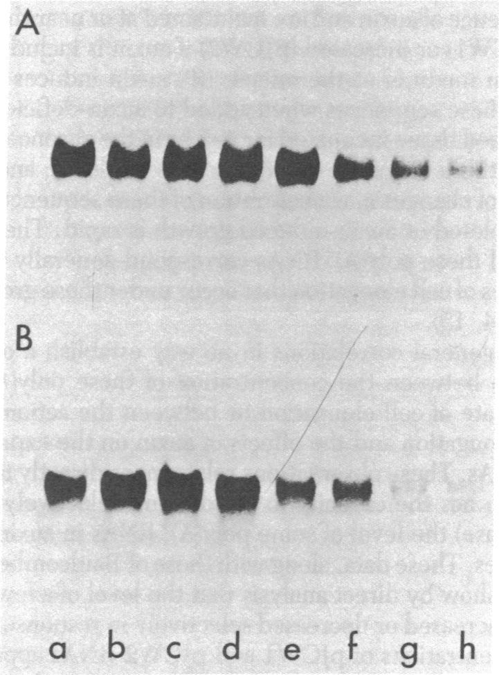 https://cdn.ncbi.nlm.nih.gov/pmc/blobs/e395/347303/d4c49c358172/pnas00462-0113-c.jpg