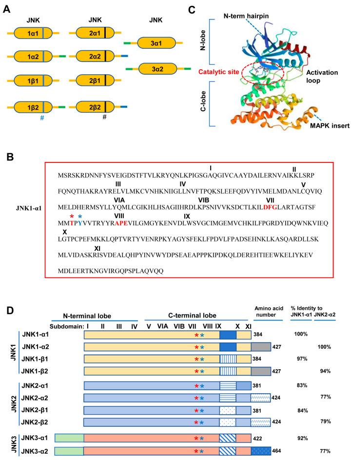 https://cdn.ncbi.nlm.nih.gov/pmc/blobs/e397/10887252/863fd6e22b54/biomolecules-14-00243-g002.jpg