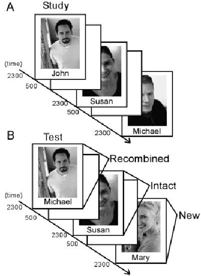https://cdn.ncbi.nlm.nih.gov/pmc/blobs/e398/2704554/885f54d0a0bf/hipo0014-0919-f1.jpg