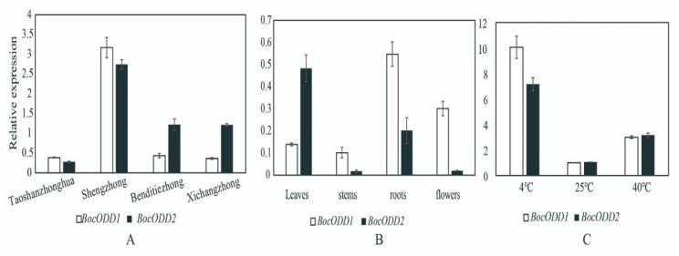 https://cdn.ncbi.nlm.nih.gov/pmc/blobs/e399/9739482/4cbad37ac856/ijms-23-14781-g006.jpg