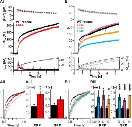 https://cdn.ncbi.nlm.nih.gov/pmc/blobs/e39a/2819690/a637e1d9f45a/JCB_200907018_RGB_Fig5.jpg