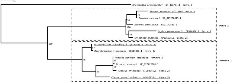 https://cdn.ncbi.nlm.nih.gov/pmc/blobs/e39a/8858584/8e762110f87c/peerj-10-12980-g003.jpg
