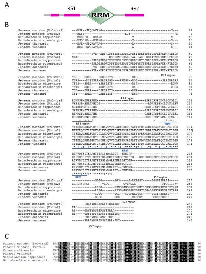 https://cdn.ncbi.nlm.nih.gov/pmc/blobs/e39a/8858584/f96cb8fa8a36/peerj-10-12980-g001.jpg