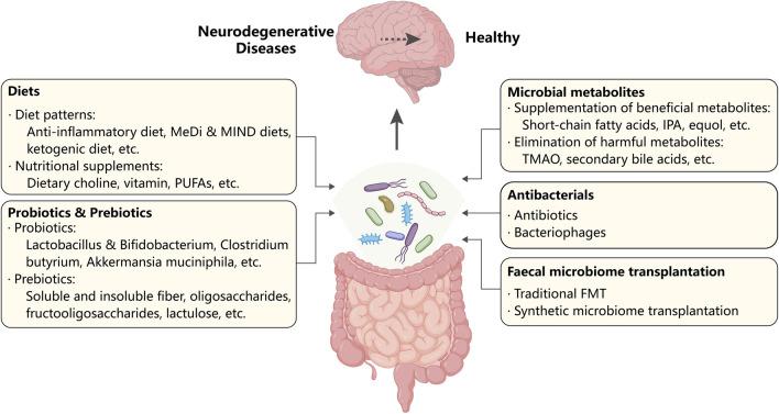 https://cdn.ncbi.nlm.nih.gov/pmc/blobs/e39d/10898075/a7e83e330c5a/40035_2024_404_Fig3_HTML.jpg