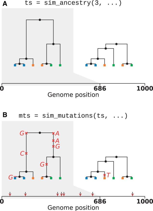 https://cdn.ncbi.nlm.nih.gov/pmc/blobs/e39f/9176297/464d32355f44/iyab229f1.jpg