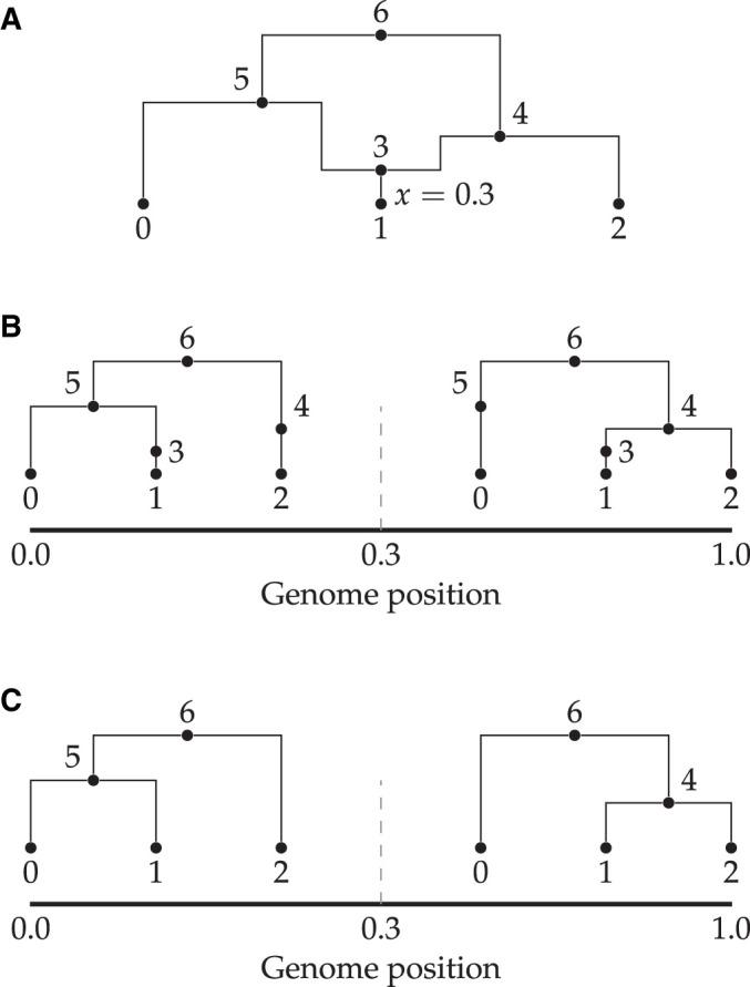 https://cdn.ncbi.nlm.nih.gov/pmc/blobs/e39f/9176297/a58211a141a1/iyab229f5.jpg