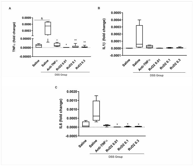 https://cdn.ncbi.nlm.nih.gov/pmc/blobs/e3a2/12249623/28ee0867419b/ijms-26-06003-g001.jpg