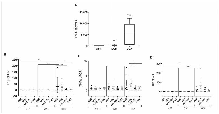 https://cdn.ncbi.nlm.nih.gov/pmc/blobs/e3a2/12249623/8b1e74bd58c9/ijms-26-06003-g003.jpg