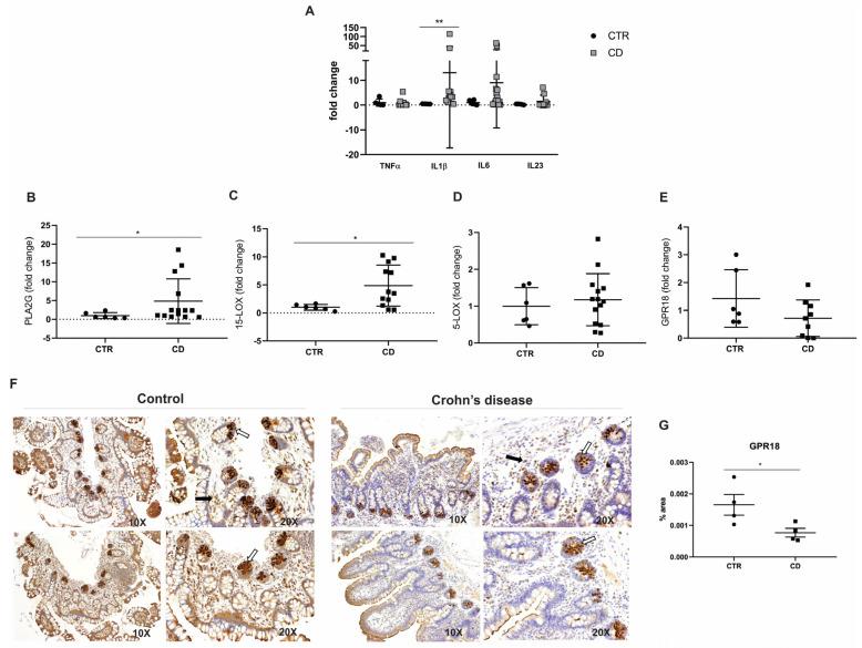 https://cdn.ncbi.nlm.nih.gov/pmc/blobs/e3a2/12249623/b7e7e8522547/ijms-26-06003-g002.jpg