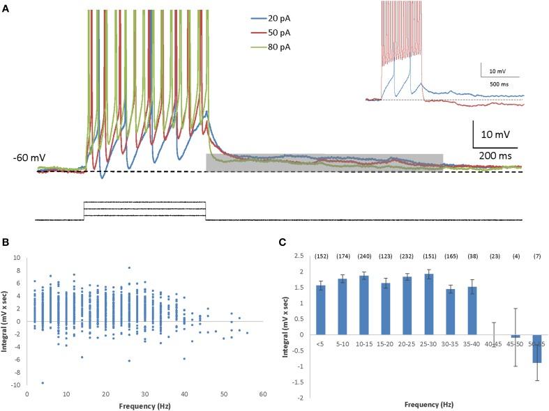 https://cdn.ncbi.nlm.nih.gov/pmc/blobs/e3a3/4294165/963c92eeca10/fncel-08-00432-g0001.jpg
